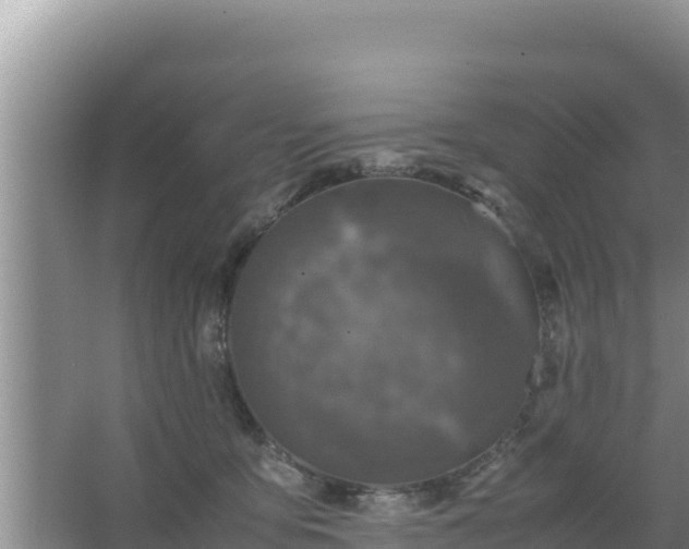 X0000067500419200604150112