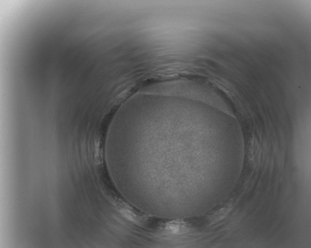 X0000067500420200604150112