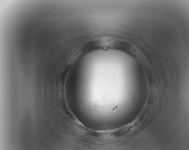 X0000067500421200604150112