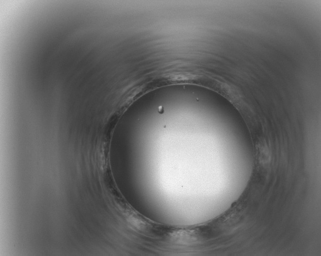 X0000067500422200604150112