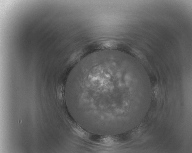 X0000067500423200604150112