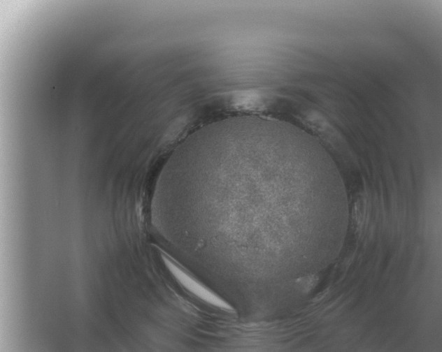 X0000067500424200604150112