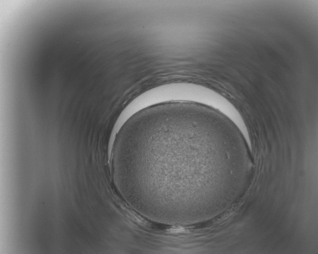 X0000067500425200604150112