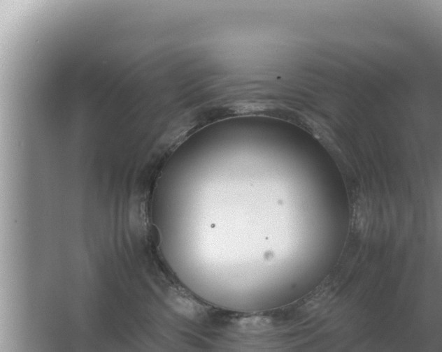 X0000067500426200604150112