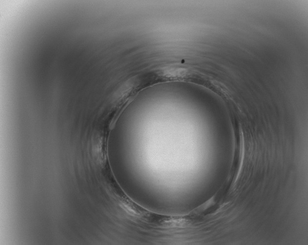 X0000067500428200604150112