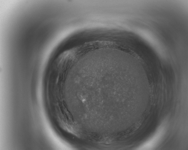 X0000067500431200604150112