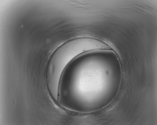 X0000067500433200604150111