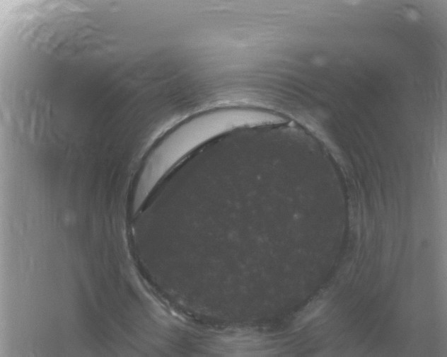 X0000067500434200604150111