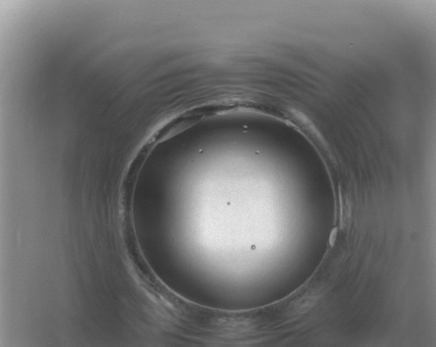 X0000067500435200604150111