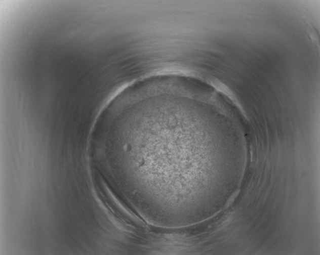 X0000067500436200604150111