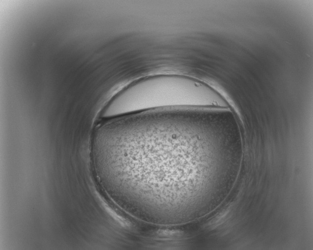 X0000067500437200604150112