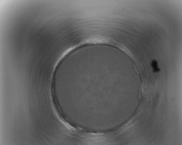 X0000067500438200604150112