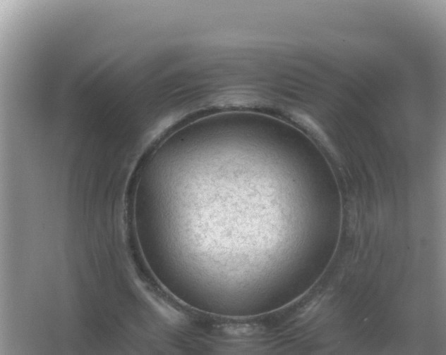 X0000067500439200604150112