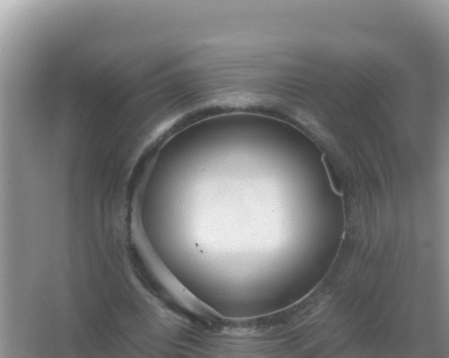 X0000067500440200604150112