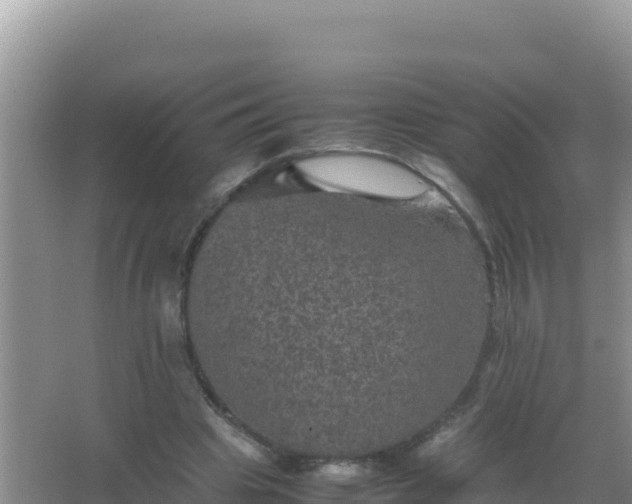 X0000067500441200604150112