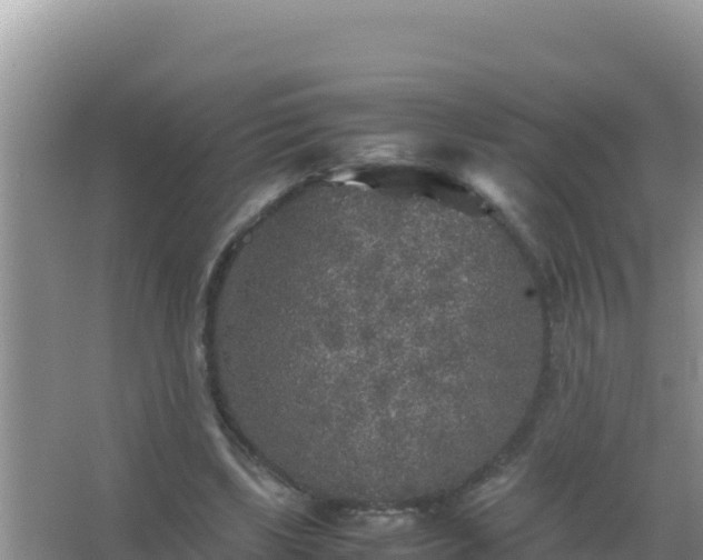 X0000067500443200604150112