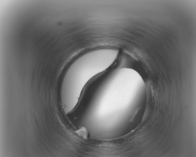 X0000067500444200604150112