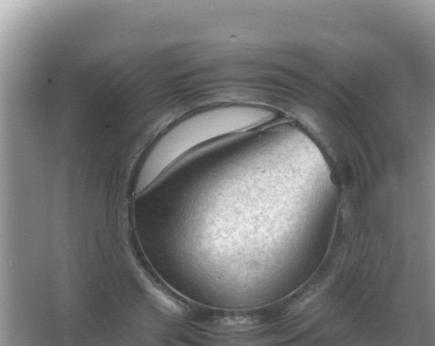 X0000067500445200604150112