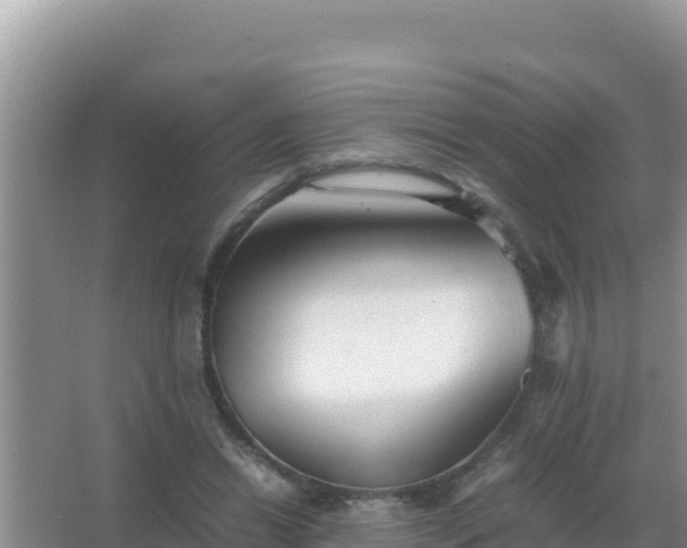 X0000067500446200604150112