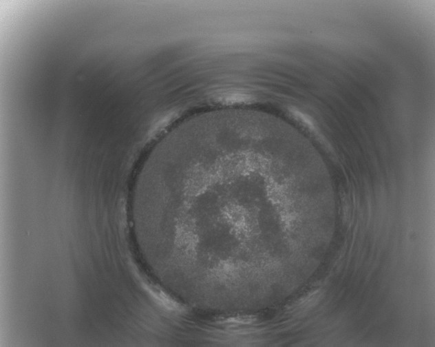 X0000067500447200604150112