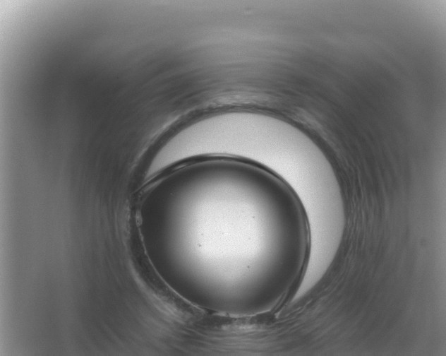 X0000067500448200604150112