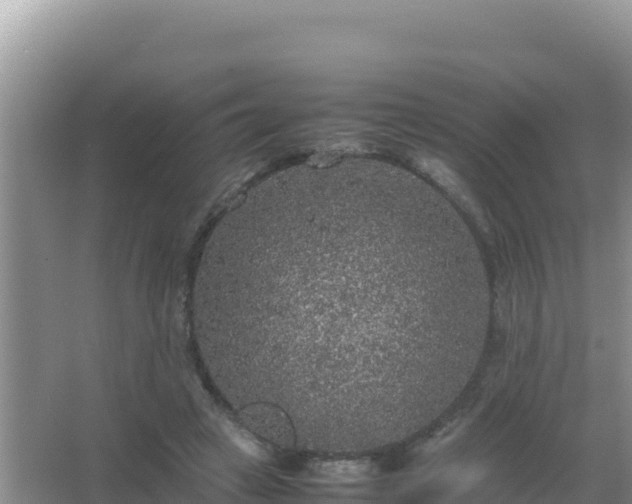 X0000067500449200604150112