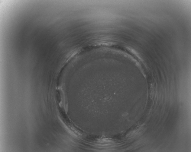 X0000067500451200604150112