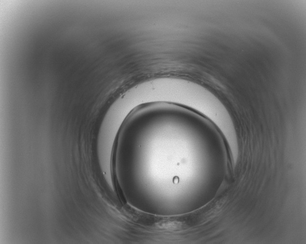 X0000067500452200604150112