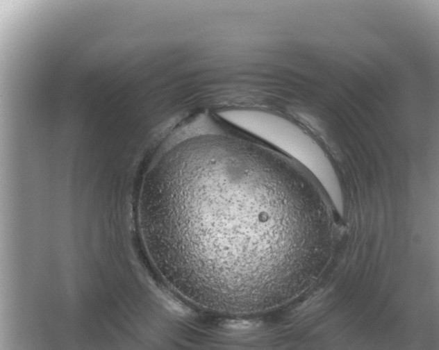 X0000067500453200604150112