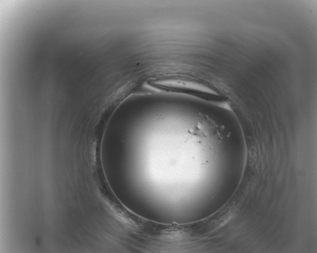 X0000067500454200604150112