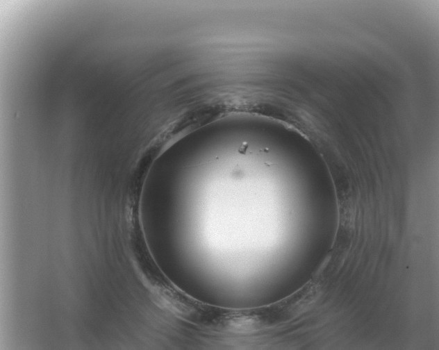 X0000067500456200604150112