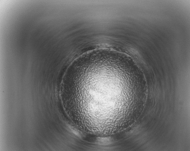 X0000067500457200604150112