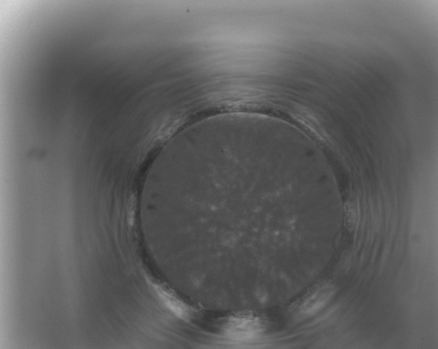 X0000067500458200604150112