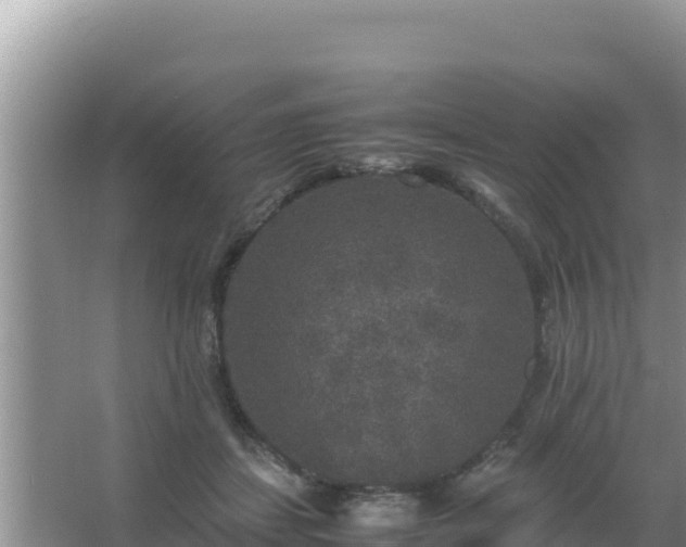 X0000067500459200604150112