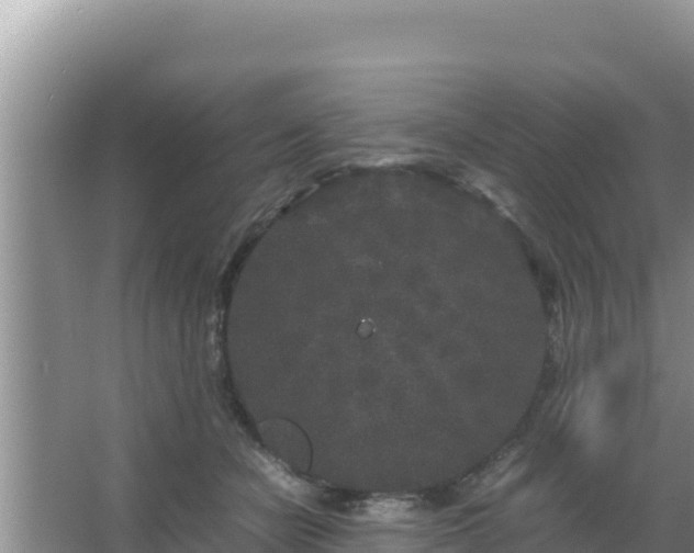 X0000067500462200604150112