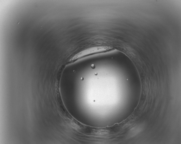 X0000067500463200604150112