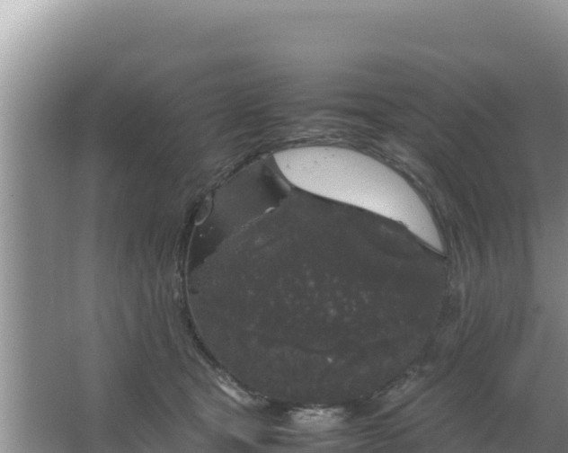 X0000067500465200604150112