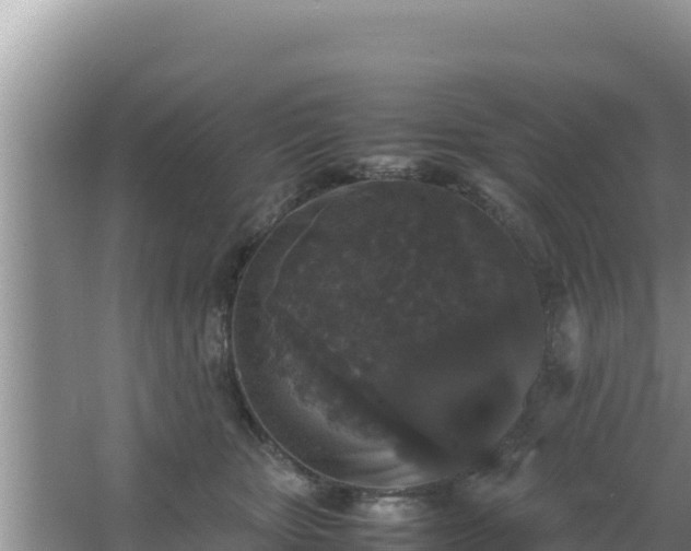 X0000067500467200604150112