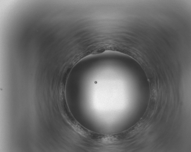 X0000067500468200604150112