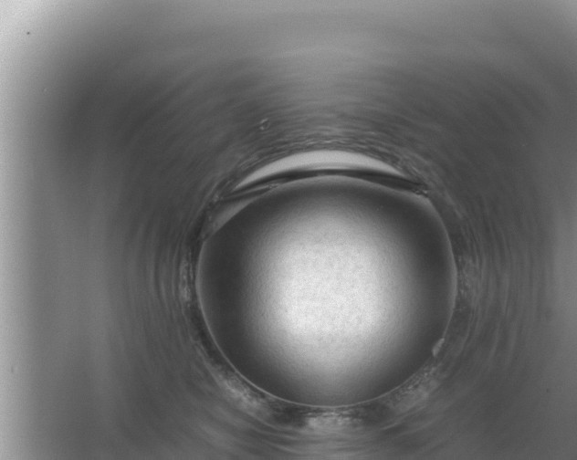 X0000067500470200604150112