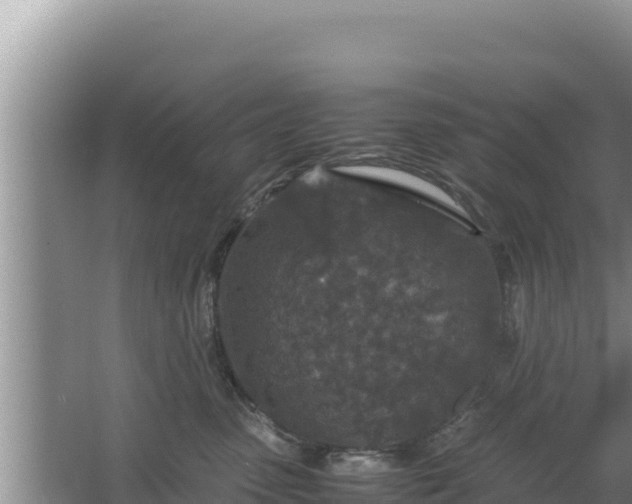 X0000067500475200604150112