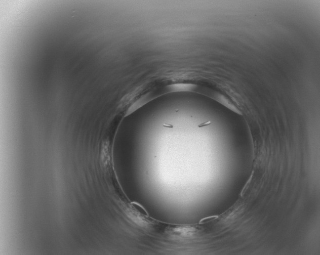 X0000067500478200604150112