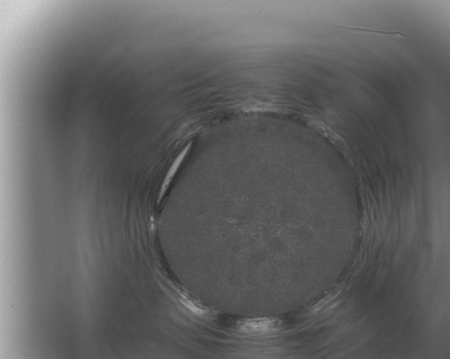 X0000067500479200604150112