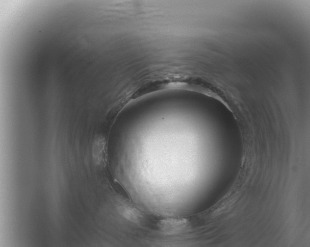 X0000067500480200604150112