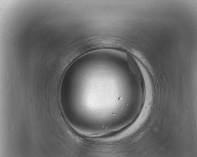 X0000067500481200604150111