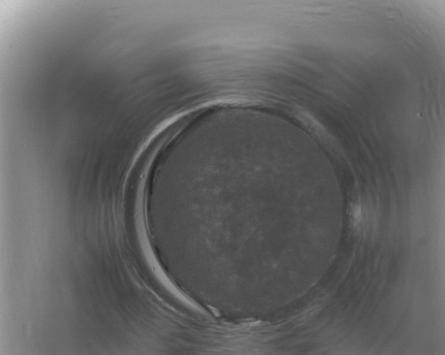 X0000067500484200604150111