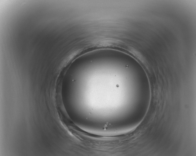 X0000067500485200604150111