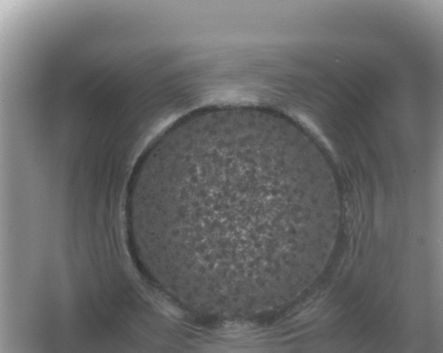 X0000067500487200604150111