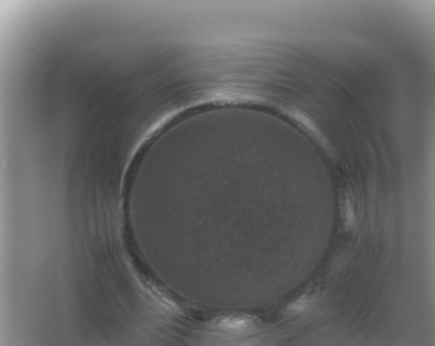 X0000067500488200604150111