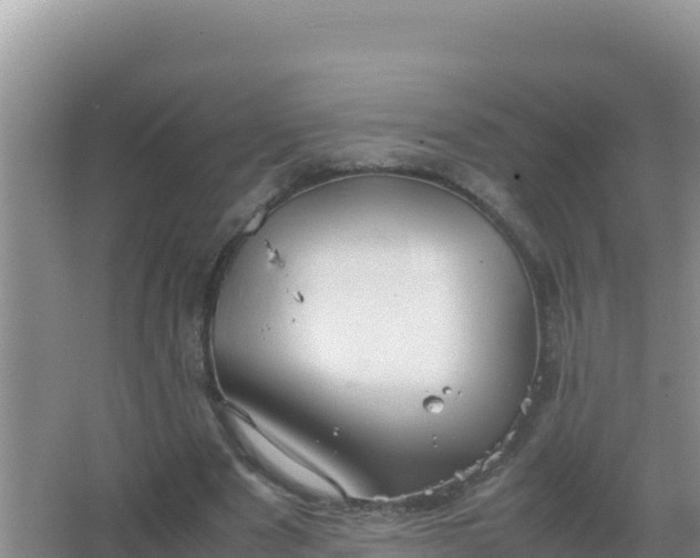 X0000067500489200604150111